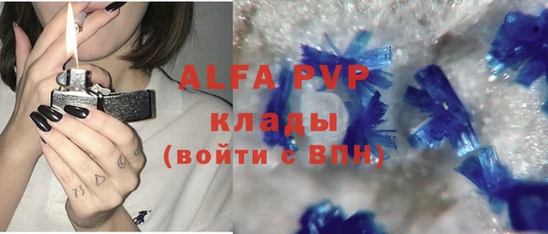 индика Богданович