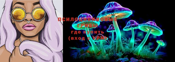 твердый Богородск