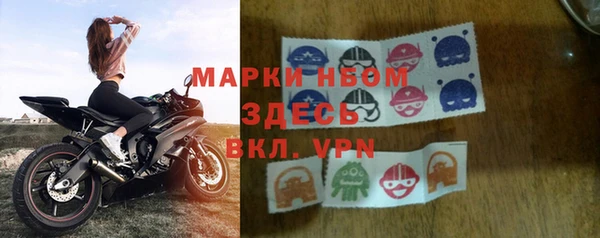 индика Богданович
