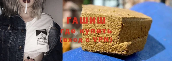 индика Богданович