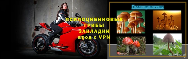 твердый Богородск