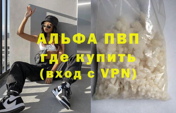 индика Богданович