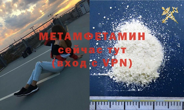 индика Богданович