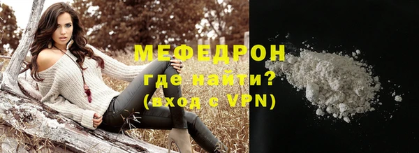 индика Богданович