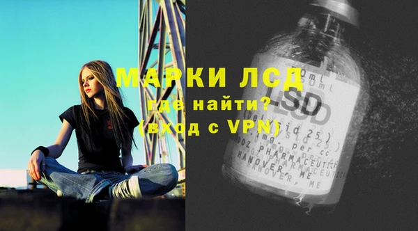 спайс Покачи
