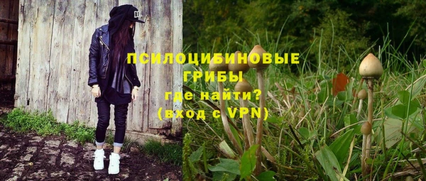 экстази Богородицк