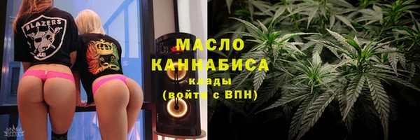 индика Богданович