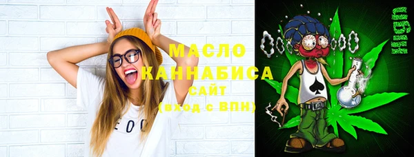 индика Богданович